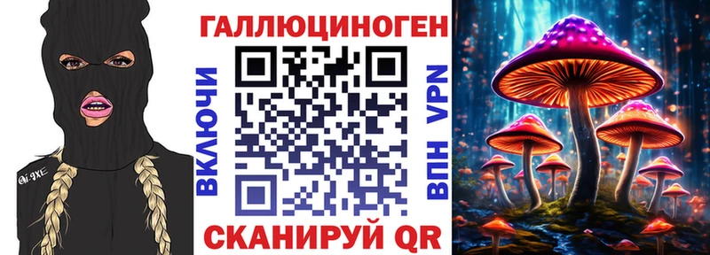 нарко площадка какой сайт  хочу наркоту  Майкоп  Галлюциногенные грибы MAGIC MUSHROOMS 